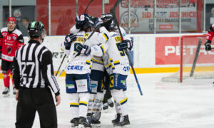 Zell am see_ Jesenice