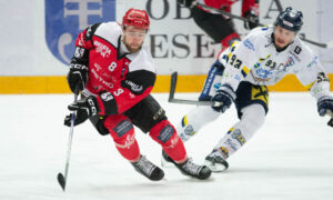 Zell am see_ Jesenice